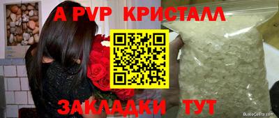 ешки Гай