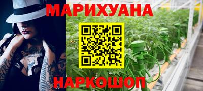 mdpv Гатчина