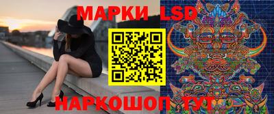 mdpv Гатчина